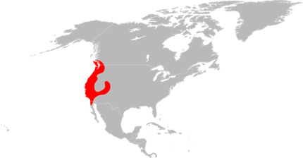 500px-Ixodes pacificus range map