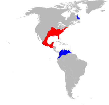 Amblyomma americanum range map