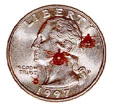 LoneStarCoin